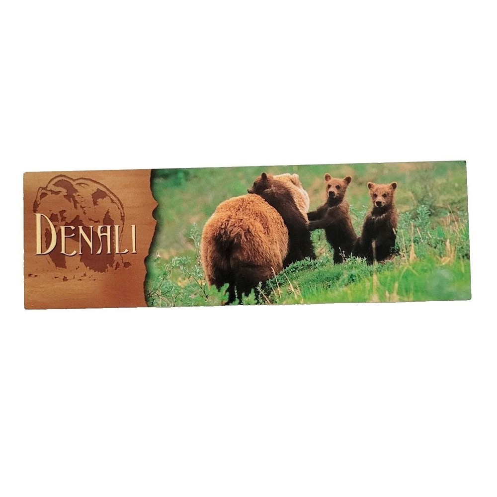 Vintage Y2K Denali Park Bookmark Grizzly Bears Patrick Enders Korea Impact 48690